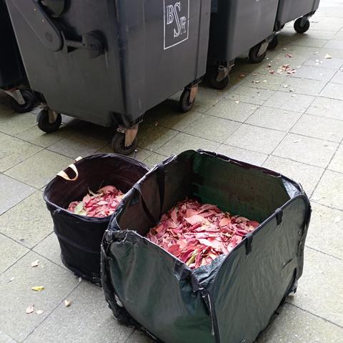 zwei Würfelförmige Sammelbehälter ("Springtonne") vor großen BSR Müllbehälter 