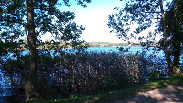 Wegesrand im Vordergrund, dann Grasstreifen und Bäume und dann das Wasser vom Wockersee.