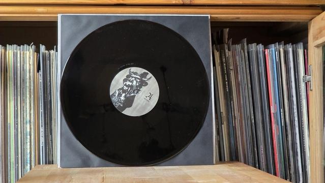 Auf einer hölzernen Unterlage liegt eine schwarze Schallplatte, deren Etikett mit einer einfarbigen Illustration versehen ist. Um die Schallplatte herum befinden sich zahlreiche andere Schallplatten, die vertikal in einem Holzschrank aufbewahrt werden.