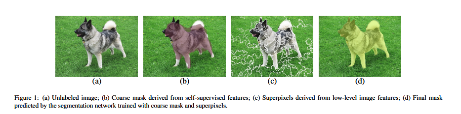 Figure 1: (a) unlabeled image; (b) Coarse mask derived from self-supervised features; (c) Superpixels derived from low-level image features; (d) Final mask predicted by the segmentation network trained with coarse mask and superpixels.