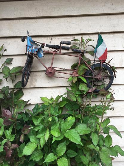 Rusty bike on a wall with Scotland and italy flags 