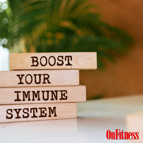 wooden blocks spelling out the words Boost your immune system linking to the article Beyond the Basics: Exploring Natural Immune Support Options on OnFitness Magazine