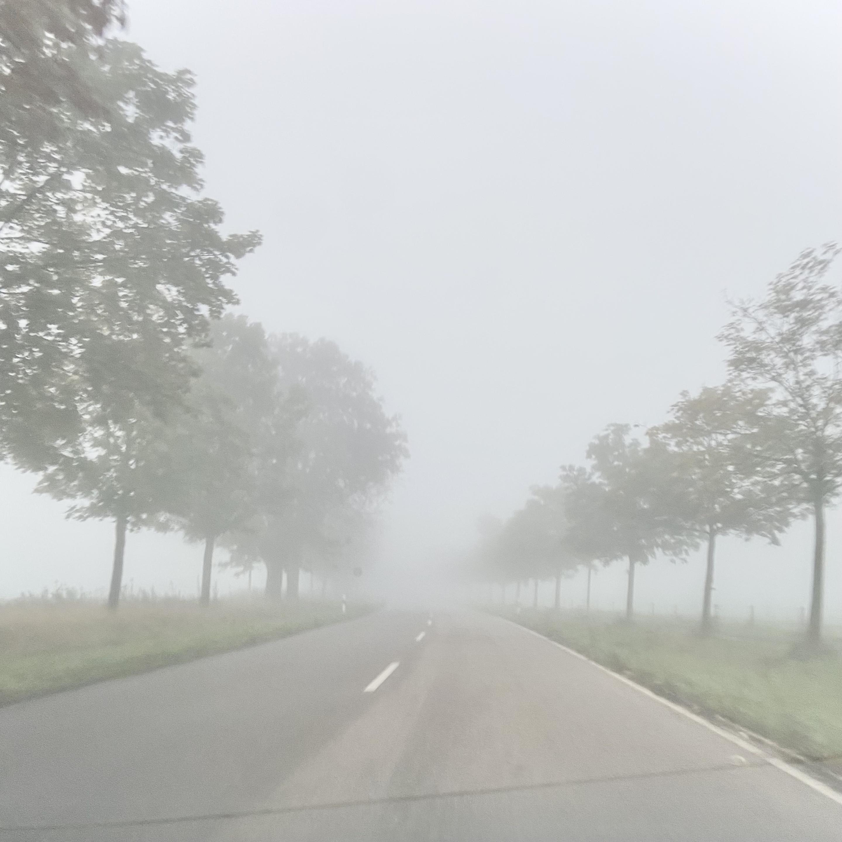 It was foggy AF this morning.