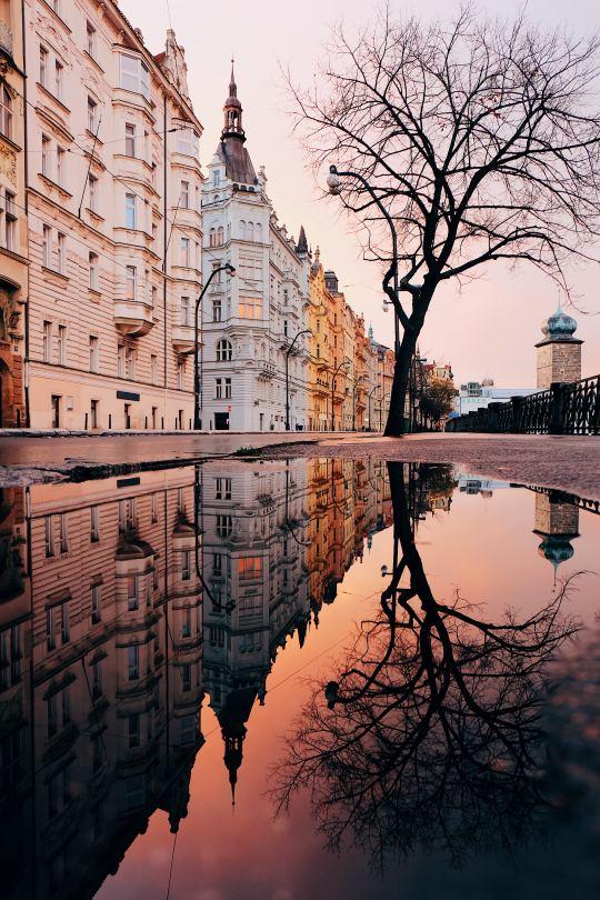 Street buildings & a tree reflect in still water.