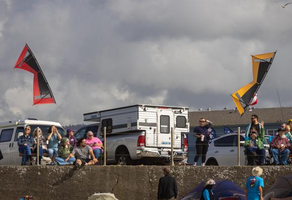 Two Essentials V quad kites flying over the crowd and sea wall in Lincoln City, OR