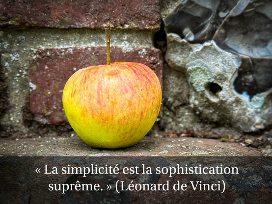 Gros plan sur une pomme jaune et rouge posée sur une marche en pierre, devant un mur de briques et de silex. En bas de l’image, une citation apparaît : La simplicité est la sophistication suprême. (Léonard de Vinci).