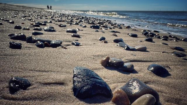 Nahaufnahme von Steinen aus der Froschperspektive an einem Strand an einem sonnigen Tag. Die nassen Steine glänzen in der Sonne. 