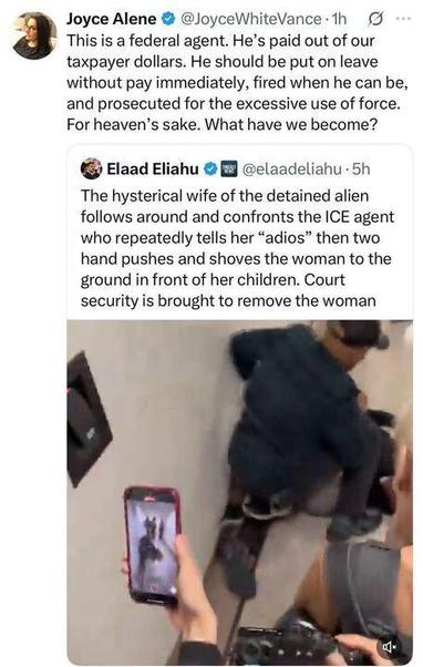A screenshot of an X post by Joyce Alene (@JoyceWhiteVance) criticizing a federal agent's use of force, paid by taxpayer dollars, with a follow-up post by Elaad Eliahu (@elaadeliahu) describing an incident where an ICE agent's "adios" gesture and push led to a woman being shoved to the ground in front of her children, prompting court security intervention. The image shows a person holding a phone displaying a video, with another person in a security uniform nearby.