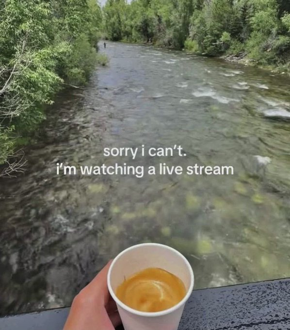 A photo taken from a first-person perspective, where a hand is holding a cup of coffee overlooking a beautiful, flowing river surrounded by green trees. The caption is a pun, reading: "sorry i can't. i'm watching a live stream".
