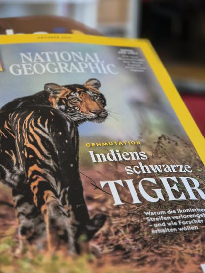 A cover from the National Geographics magazine is shown featuring a captivating image of a tiger. The tiger is the dominant focal point of the cover, taking up a significant portion of the frame. The background is a warm brown color, complementing the tiger's black and grey fur. The overall color scheme is earthy and natural, with a pop of mustard yellow as the accent color. The image is not black and white, but rather in full color. The tiger is positioned in the center of the cover, with text…