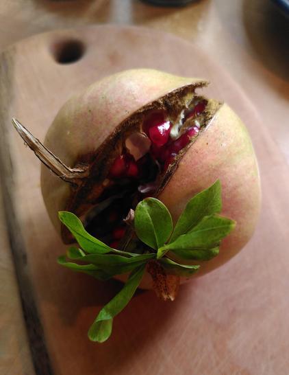 Aufgesprungener Granatapfel mit einigen Blättern am Stiel auf einem Holzbrett.