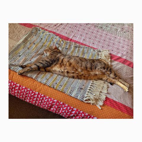 Bengal cat Neko is stretched out on a colorful, patterned duvet and his favourite knitted blankie. The duvet is coloured with hues of red, yellow, and beige. The scene conveys Neko’s total relaxation and coziness for a Happy Caturday!