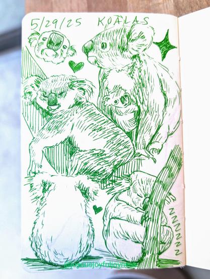 Sketchbook page of green pen drawings of 6 koalas. The top of the page has the text 5/29/25 and Koalas. Top left is a close up of a Koala, a heart, a mama koala and a baby holding on, and a star. Below is a relaxing sleeping koala on a branch. Below that is a koala from the back sitting down and a heart. To the right is another koala sleeping with its head in a branch.