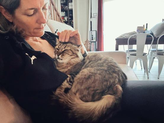 Fluffy tabby cat on the lap of a middle-aged white woman who is stroking his head with three fingers while looking at him.