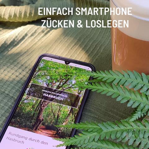 Ein Smartphone "Entdeckerpfad durch den Hasbruch" liegt auf einer Decke. Daneben sind Teile eines Milchkaffees und ein Farnwedel zu sehen. 

Text auf Bild: Einfach Smartphone zücken & loslegen