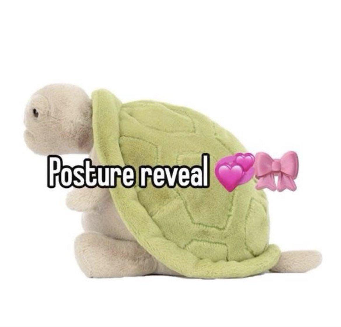 Image: picture of a turtle sitting (the back of its shell making a perfect arch)
Text: posture reveal 馃挄馃巰
