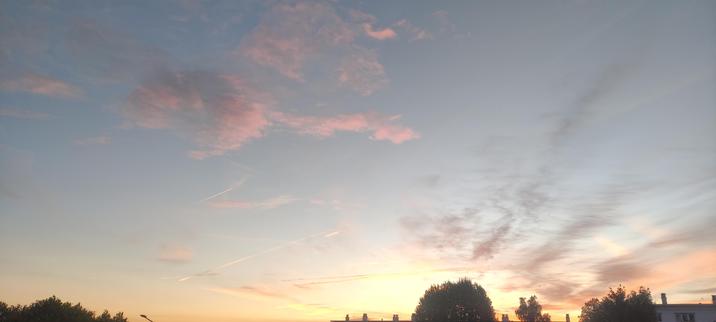 Photo du ciel du matin, bleu clair parsemé de nuages roses, avec le soleil qui se lève en doré dans le bas de la photo. Quelques arbres se laissent apercevoir, avec un bout d'immeuble
