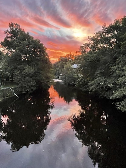 Lever de soleil sur un ciel strié de nuages rose orangé et mauve au dessus d’une rivière bordée de chênes. Reflets du ciel dans l’eau 