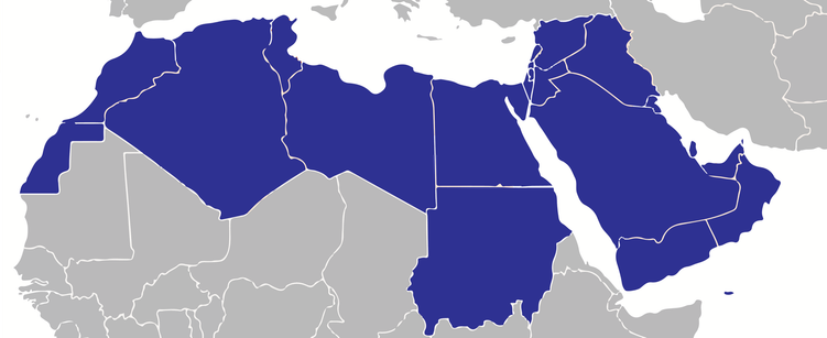 MENA map