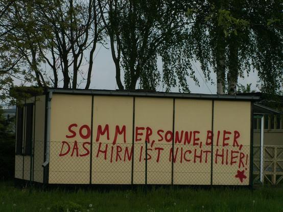 Sommer Sonne Bier das Hirn ist nicht hier 017