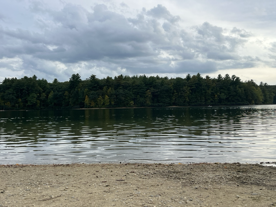 A photo of Waldin Pond, broken into three parts. The top part is a stormy looking sky full of dark clouds. The middle line is the trees on a hill, the bottom third is the water of Waldin Pond and a strip of sand.