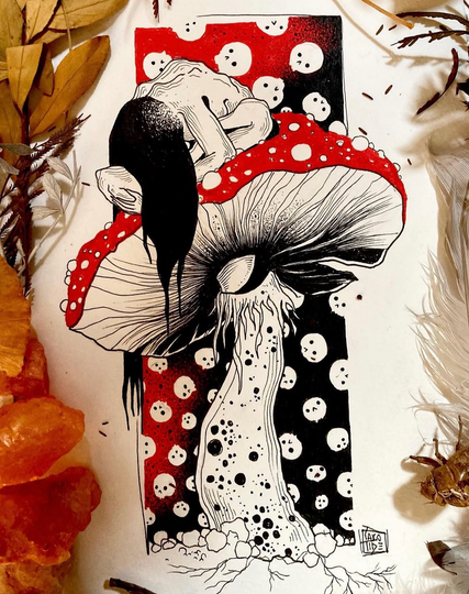 Illustration champignon