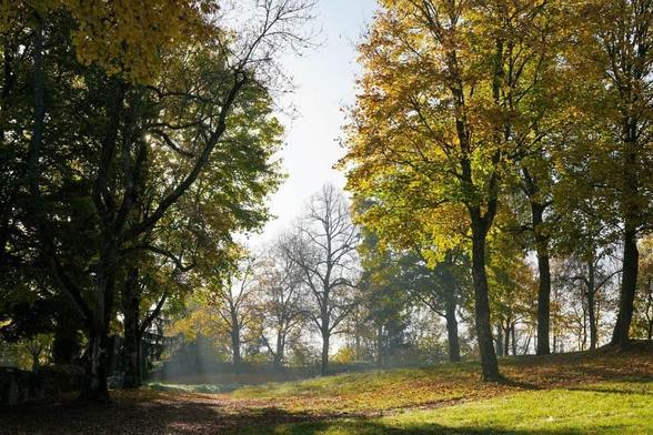 autumn europe