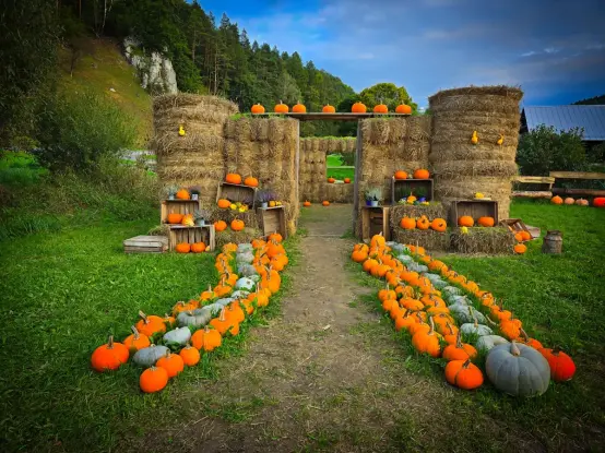 Farma dyniowa Ojców