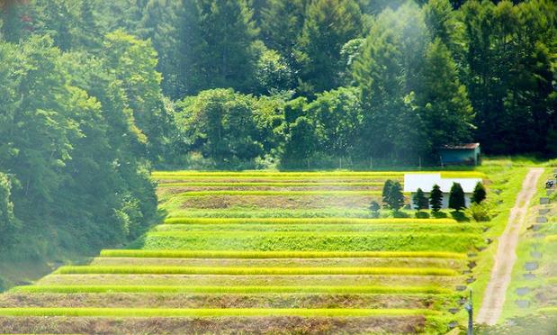 Japan country side