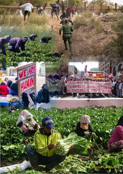 Immigration