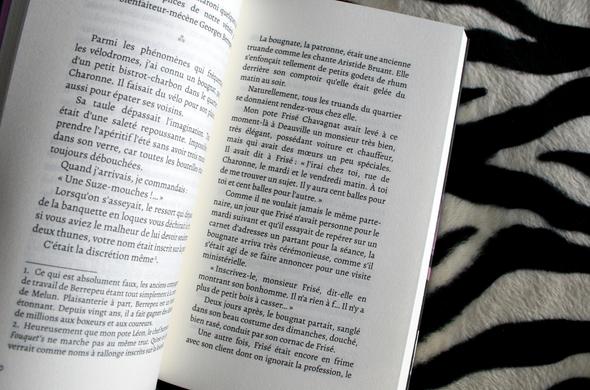Livre PANTRUCHE (OU LES MEMOIRES D’UN TRUAND) Fernand Trignol 14€