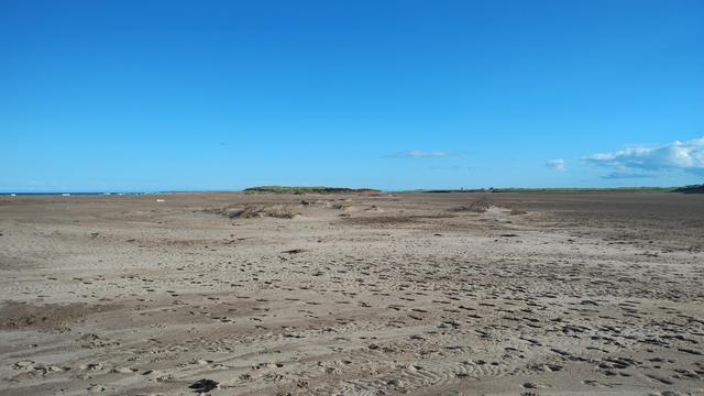 The beach by Goswick looking particularly post-apocalyptic. 