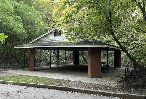 A roof in the woods