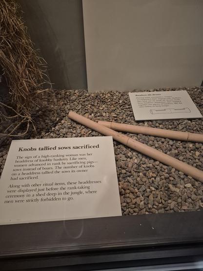 Knobs tallied sows sacrificed

The sign of a high-ranking woman was her headdress of knobby basketry. Like men, women advanced in rank by sacrificing pigs sows instead of boars. The number of knobs on a headdress tallied the sows its owner had sacrificed.

Along with other ritual items, these headdresses #bamboo