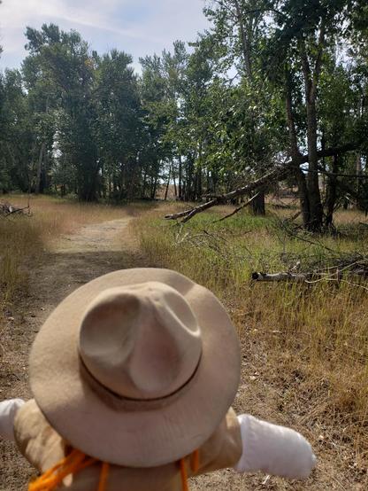 Ranger Sarah hikes past cottonwood trees as she continues her hike at Travelers' Rest State Park.