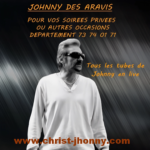 Sosie physique de Johnny Hallyday