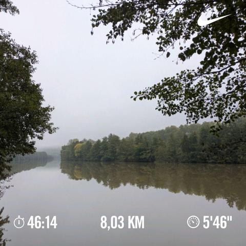 Photo of the Moselle river with a reflection of the forest on the opposite side. Slight signs of the fog on the left side of the photo.