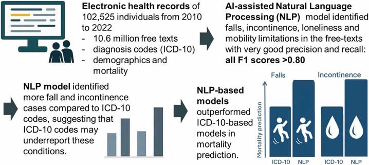 Identifying health conditions in older adults in textual health records using deep learning-based natural language processing. Computational and Structural Biotechnology Journal, DOI: https://doi.org/10.1016/j.csbj.2025.09.009
