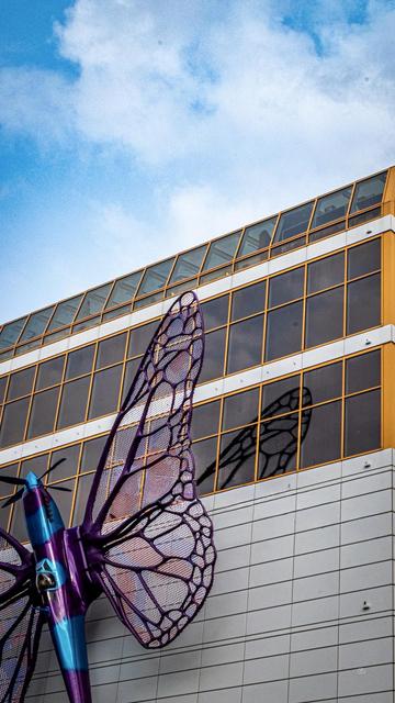 👁️ A large butterfly/airplane sculpture mounted on a modern steel and glass building
📍 Národní, Prague
📅 8 Jun 2025
📸 Nikon D5600
⚪️ Nikkor DX 35 mm ƒ1.8G
🎞️ ISO 500, ƒ22, -0.3 ev, 1/200s 