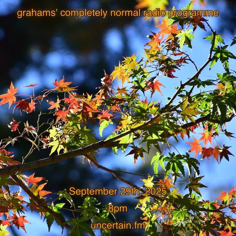 Leave starting to turn color in the sun.

Orange text overlaid promoting a radio show, details in the main post. 