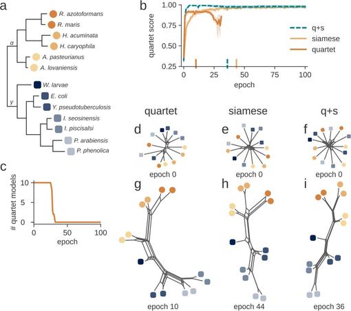 A quartet-based approach for inferring phylogenetically informative features from genomic and phenomic data. Computational and Structural Biotechnology Journal, DOI: https://doi.org/10.1016/j.csbj.2025.08.015
