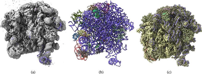 A labeled dataset for AI-based cryo-EM map enhancement. Computational and Structural Biotechnology Journal, DOI: https://doi.org/10.1016/j.csbj.2025.06.041
