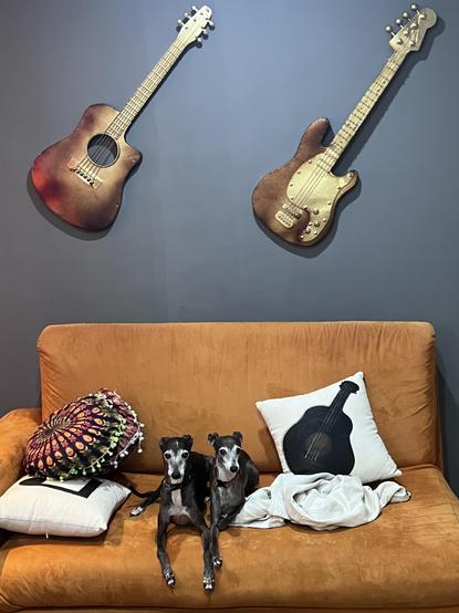 Coco & Cleo at Music school