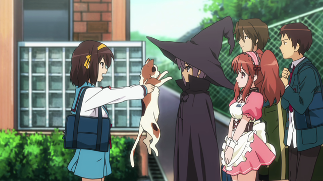A girl (Haruhi) holding up a calico cat to a girl (Yuki) in a witch costume.