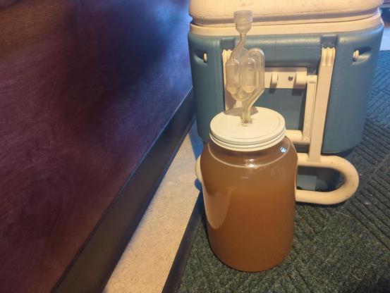 A gallon jar of what I'm hoping will turn into t'ej Ethiopian honey wine, that is; water, honey, and a sachet of gesho. The lid and airlock has since been replaced with a kitchen towel and rubber band because the inside of the lid was RUSTING after like 48 hours. Because I'd sanded the hole I made for the airlock.