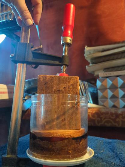 A bar clamp compressing the better part of a pound of 2014 Nicaraguan Seco cigar filler leaves in a jar, hopefully to transform into the truffle of tobaccos, perique. 