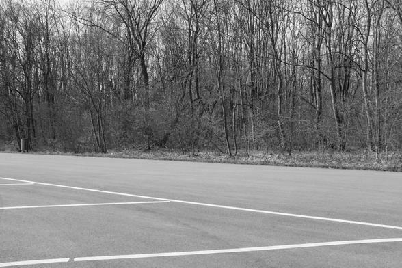 Schwarzweißfoto, Asphalt mit weißen Parkplatzmarkierungen, ein Waldstück im Hintergrund.