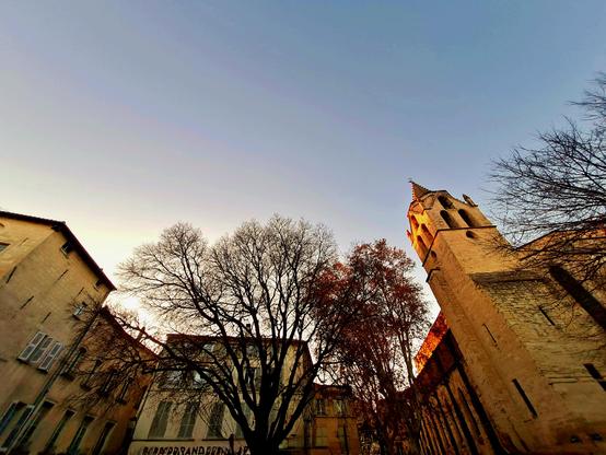 Église 
Architecture 
Arbres 