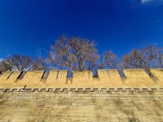 Ramparts d'Avignon 
84000
Vaucluse 