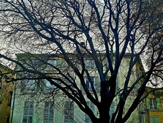 ARBRE 
Place 
Architecture 
Bâtiment 